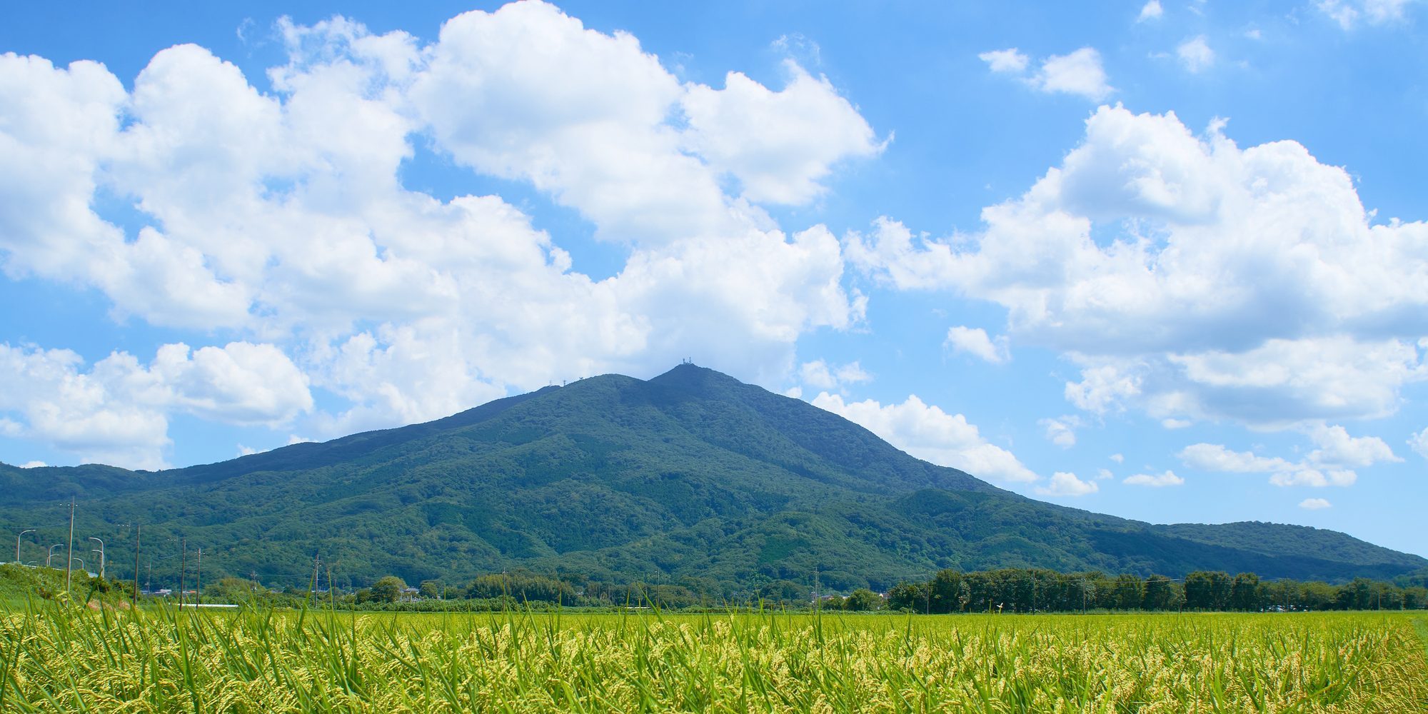 茨城県つくば市