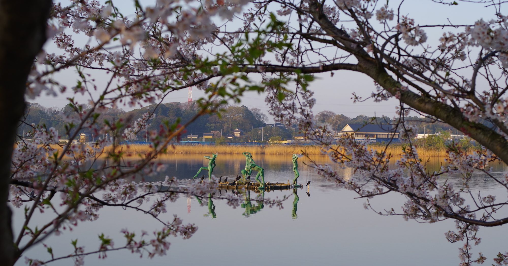 千葉県我孫子市